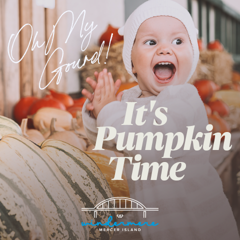 Oh My Gourd! It's Pumpkin Time